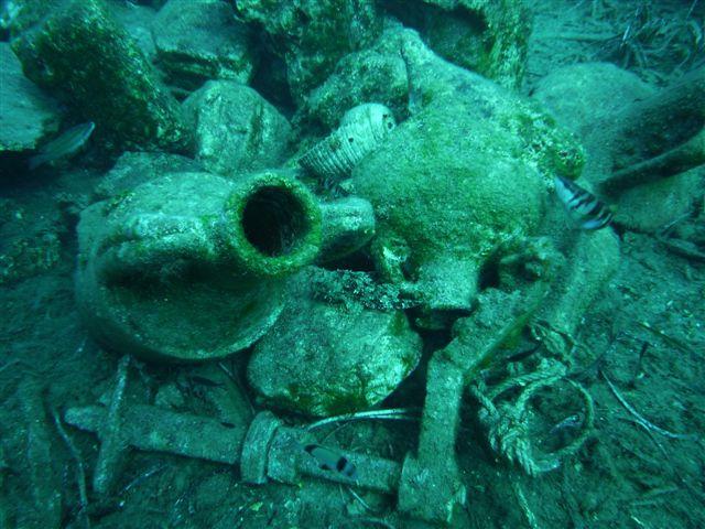 erman dive